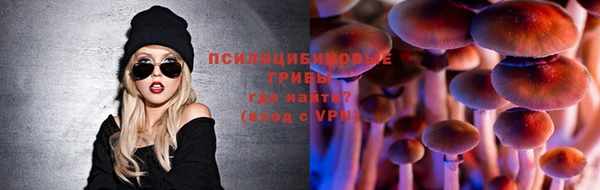 стаф Абаза