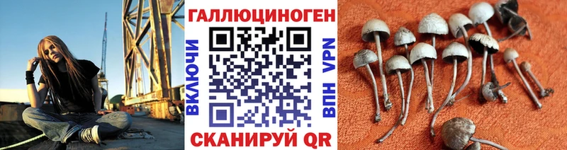 Псилоцибиновые грибы мицелий  hydra вход  Ковылкино 